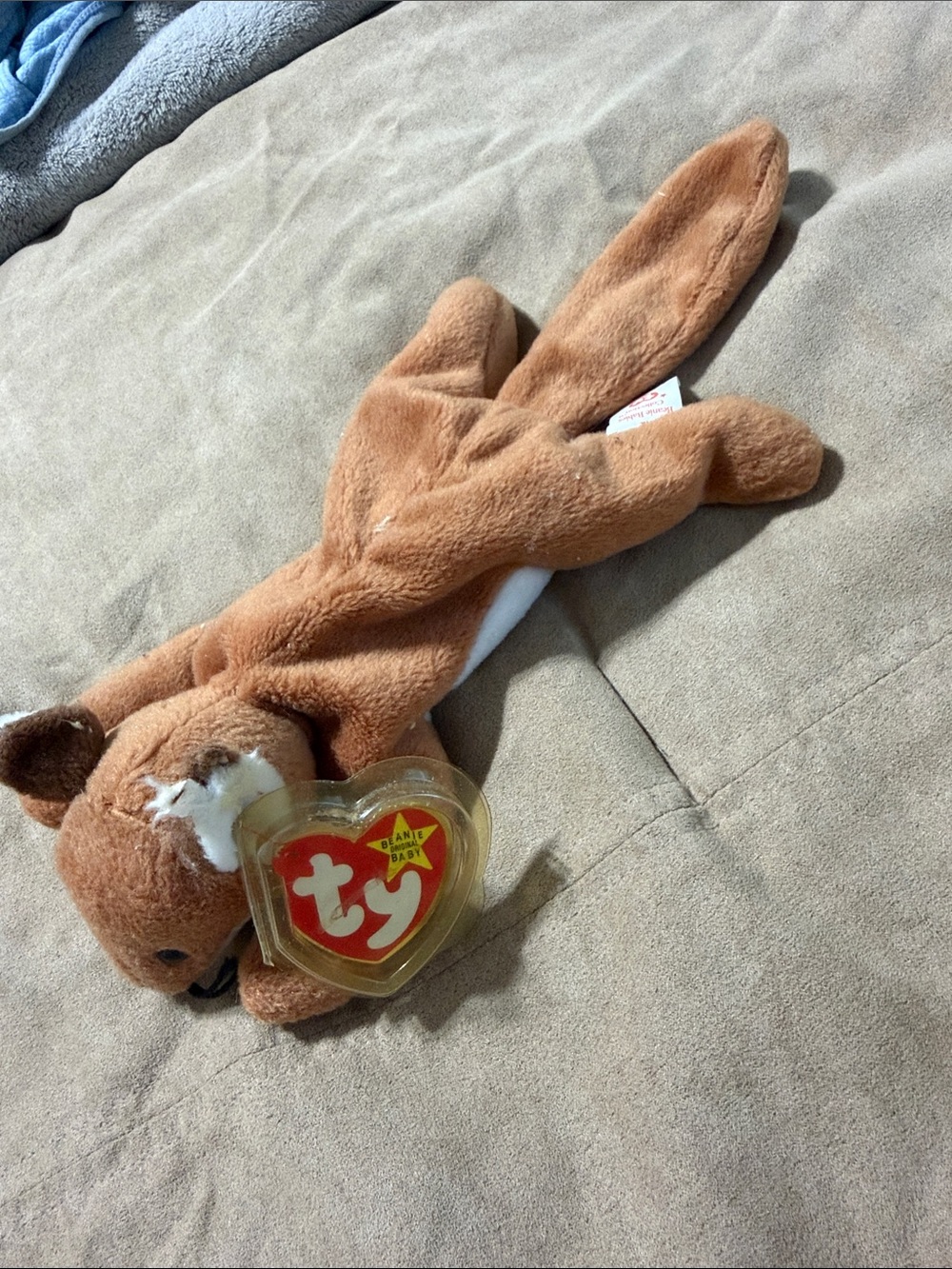 Ty Brown Squirrel Beanie Baby Plush with Heart Tag